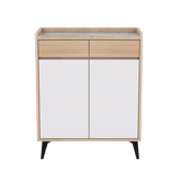 Gerdin 2 Door Shoe Cabinet